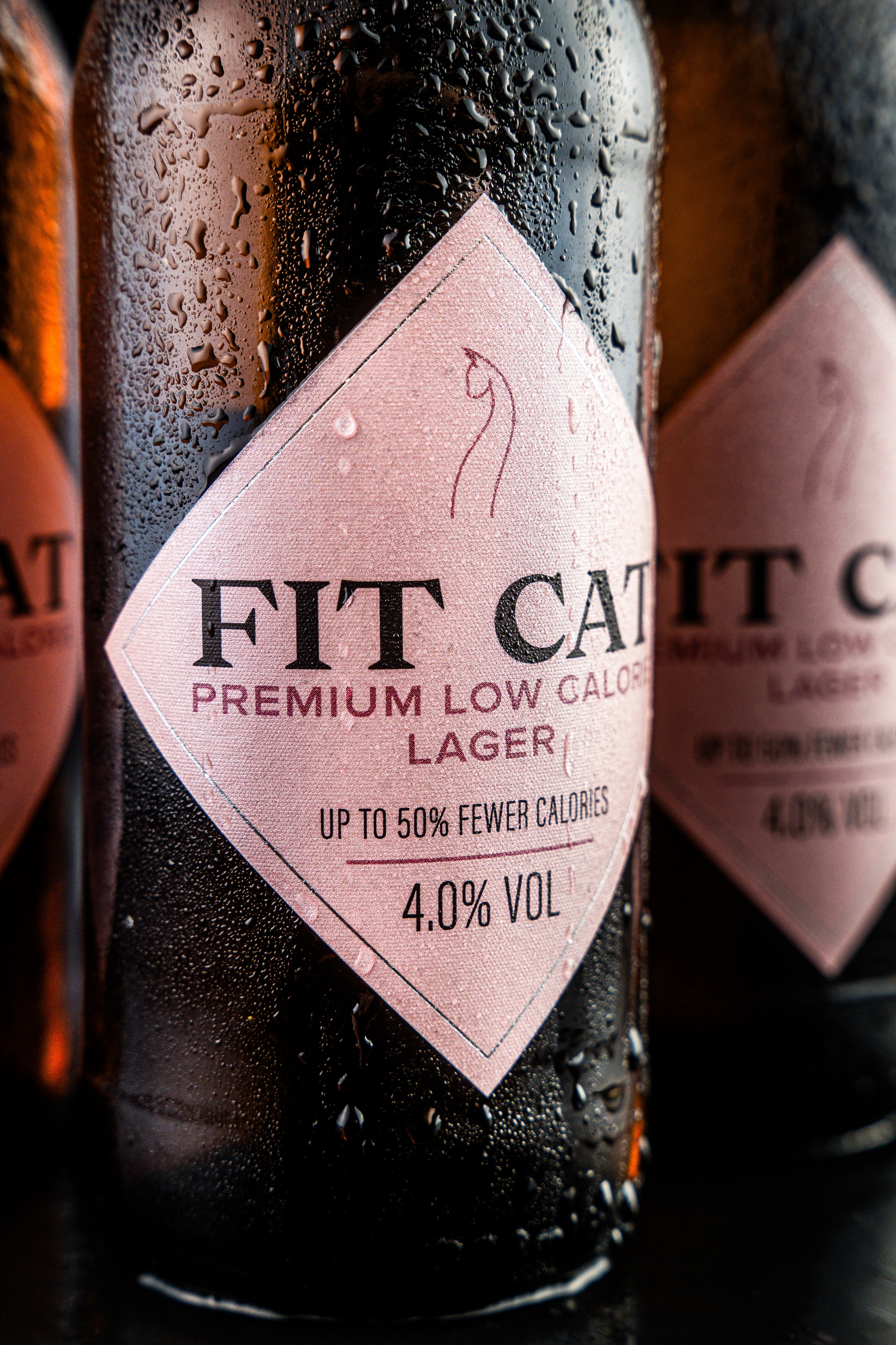 FITCAT – Premium Low Calorie Lager