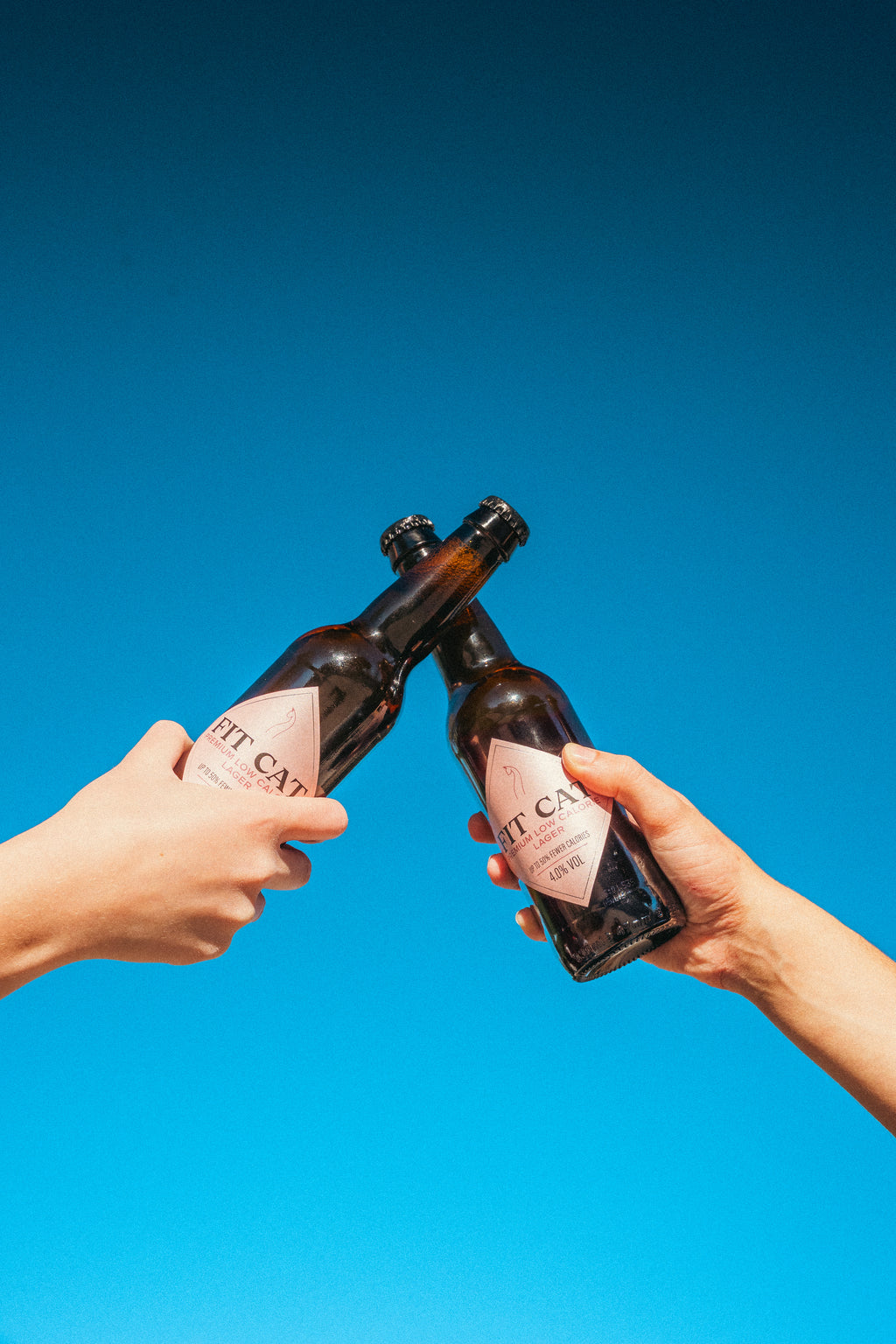 FITCAT – Premium Low Calorie Lager