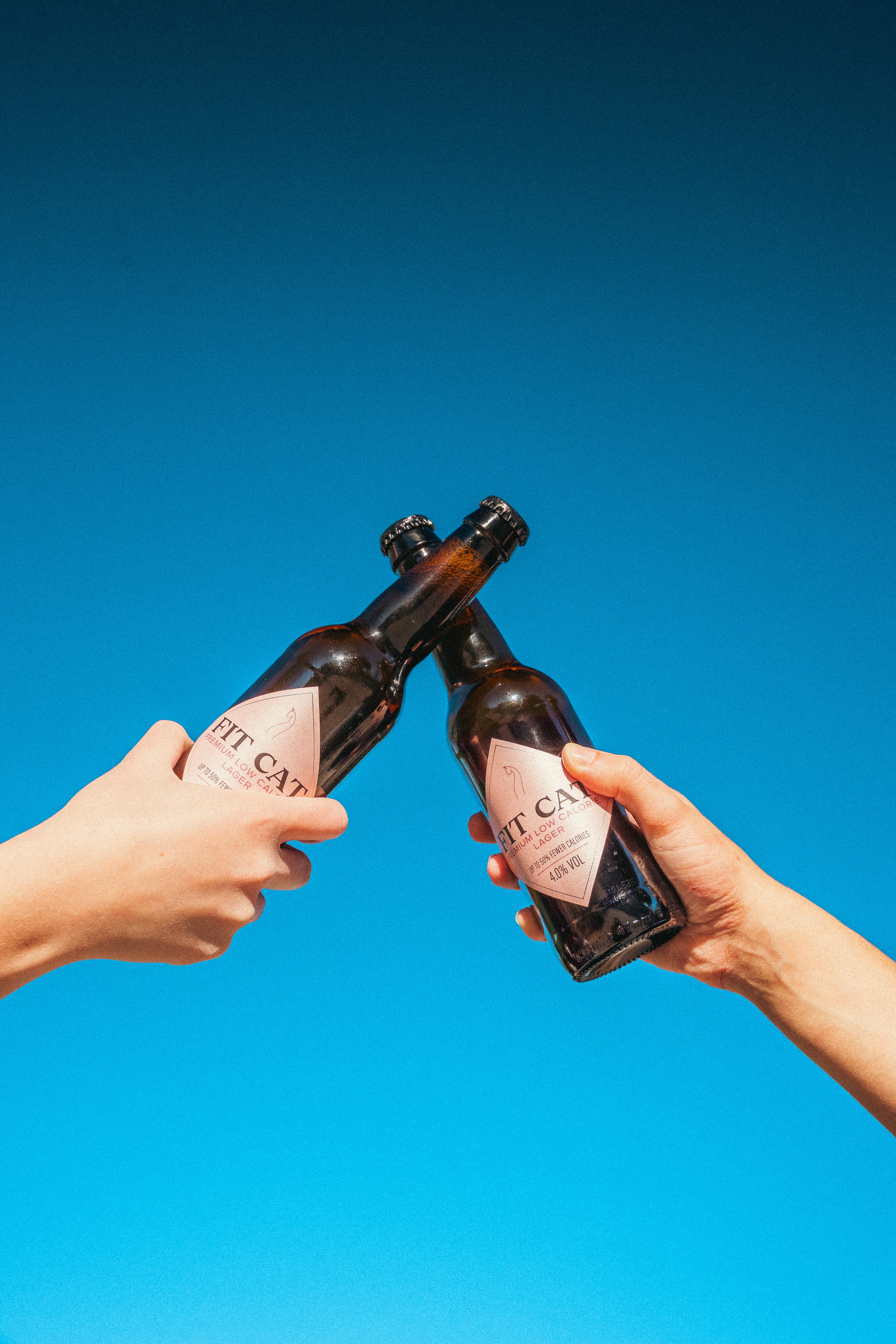 FITCAT – Premium Low Calorie Lager