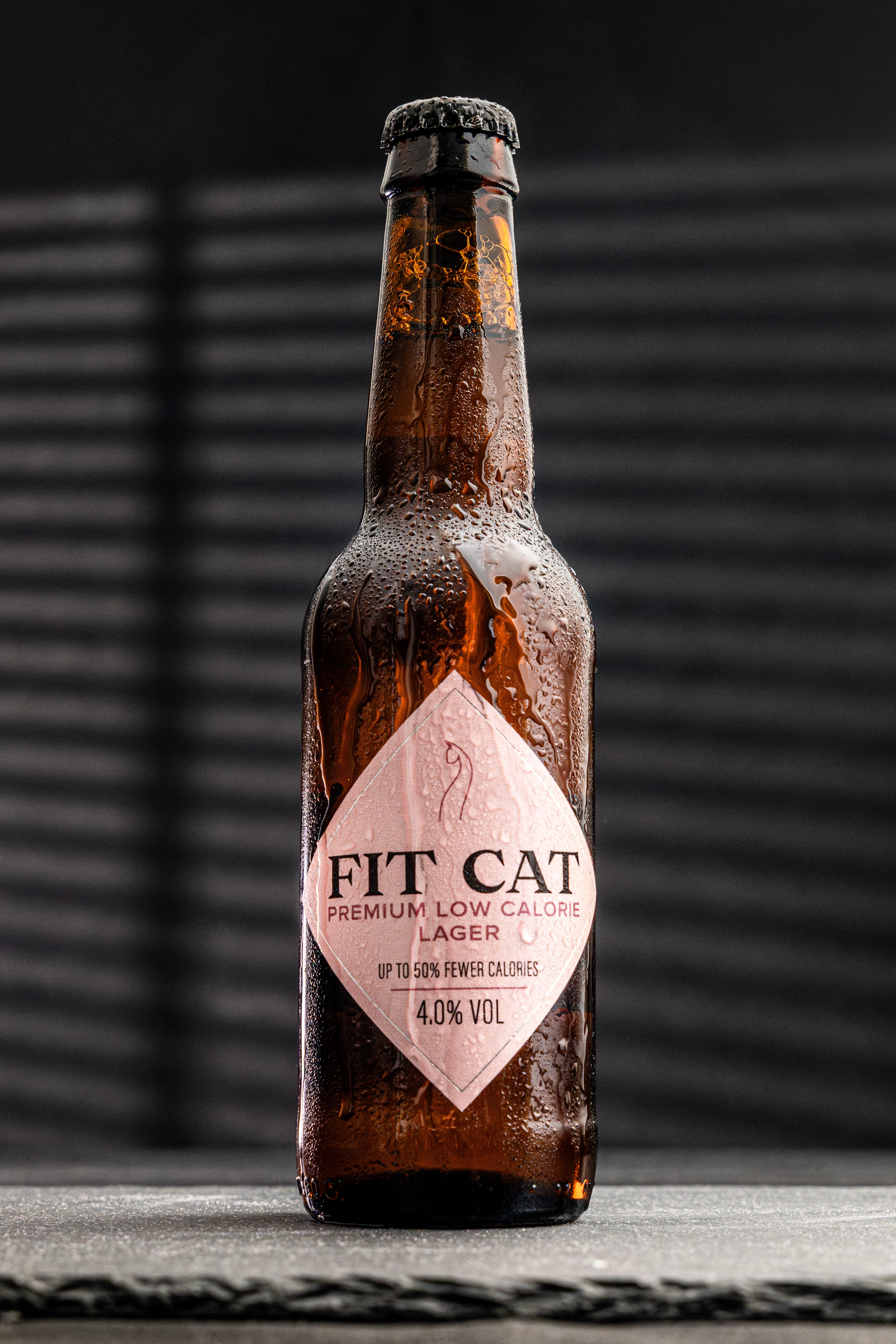 FITCAT – Premium Low Calorie Lager